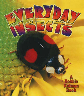 Book cover for Everyday Insects