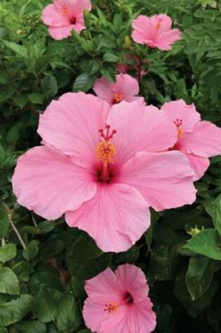 Cover of Tons of Pink Hibiscus, for the Love of Flowers