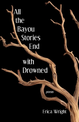 Book cover for All the Bayou Stories End with Drowned