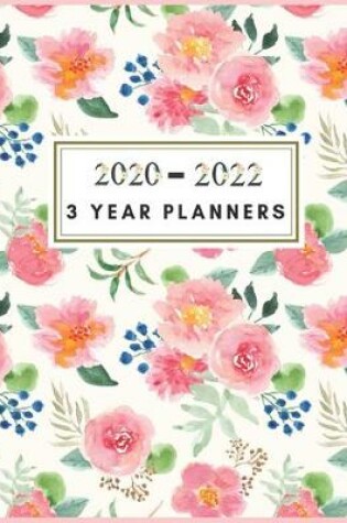 Cover of 3 Year Planners