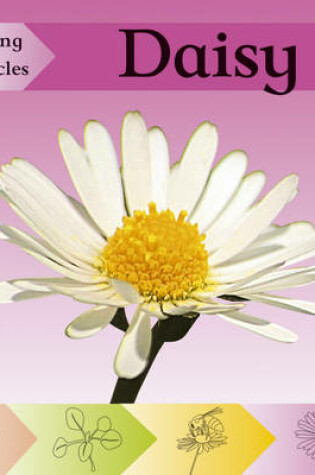 Cover of Looking at Lifecycles: Daisy