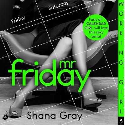 Book cover for Mr Friday (A sexy serial, perfect for fans of Calendar Girl)
