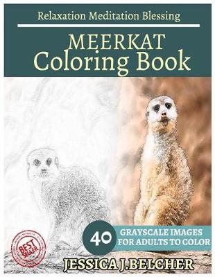 Book cover for Meerkat Coloring Book for Adults Relaxation Meditation Blessing