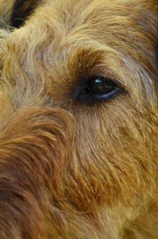 Cover of Profile of a Brown Irish Setter, for the Love of Dogs