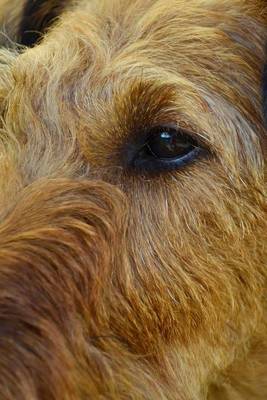 Book cover for Profile of a Brown Irish Setter, for the Love of Dogs