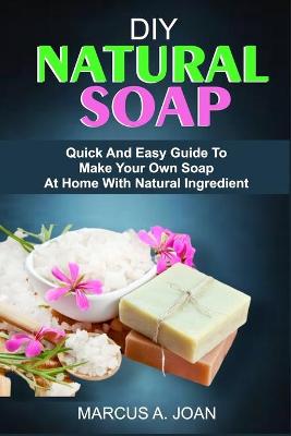 Cover of DIY Natural Soap