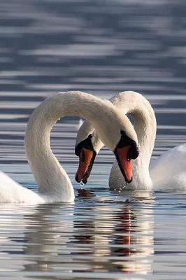 Book cover for Swan Courtship Journal