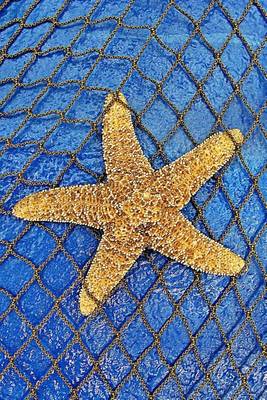 Book cover for Starfish Sea Star Journal