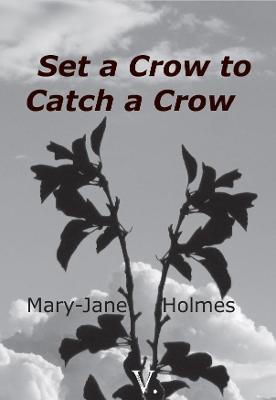 Book cover for Set a Crow to Catch a Crow