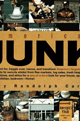 Cover of American Junk