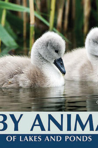 Cover of Baby Animals of Lakes and Ponds