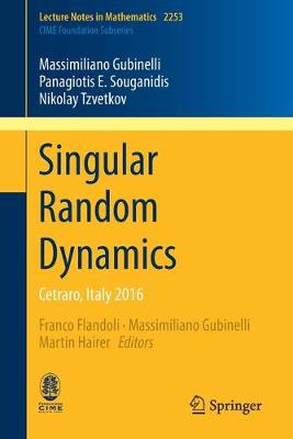 Cover of Singular Random Dynamics