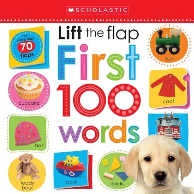 Book cover for Lift the Flap First 100 Words
