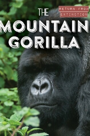 Cover of The Mountain Gorilla