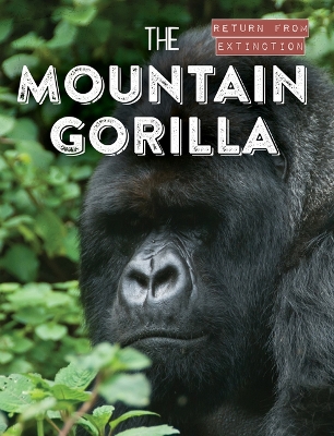 Cover of The Mountain Gorilla