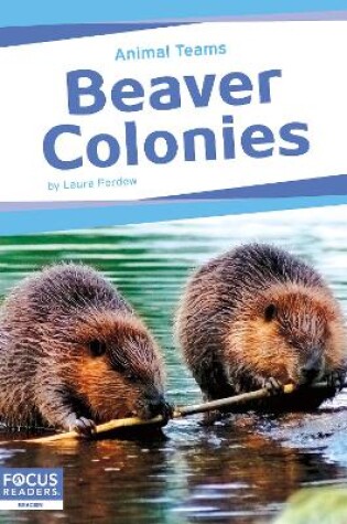 Cover of Animal Teams: Beaver Colonies