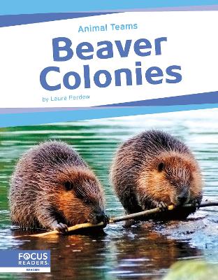 Book cover for Animal Teams: Beaver Colonies