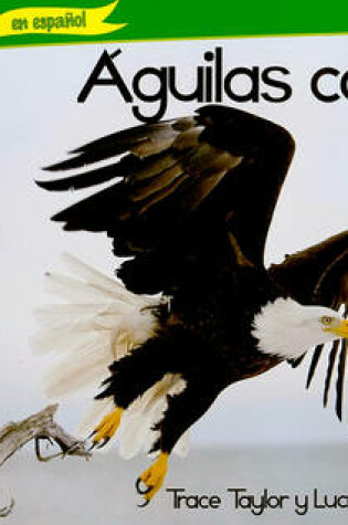 Cover of Aguilas Calvas