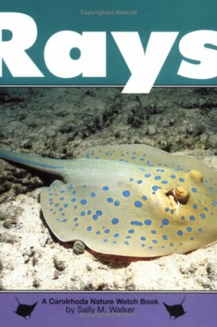 Cover of Rays