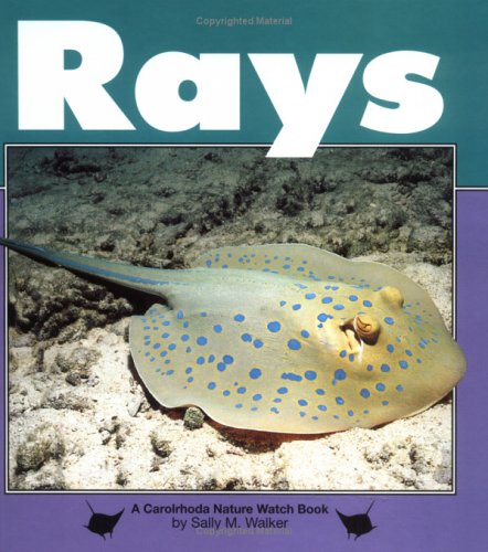 Book cover for Rays