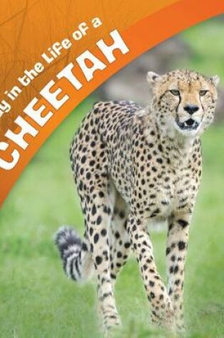 Cover of A Day in the Life of a Cheetah