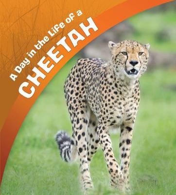 Book cover for A Day in the Life of a Cheetah