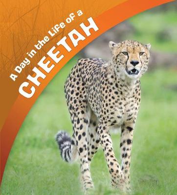 Cover of A Day in the Life of a Cheetah