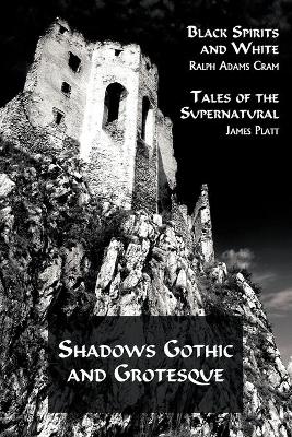 Book cover for Shadows Gothic and Grotesque (Black Spirits and White; Tales of the Supernatural)