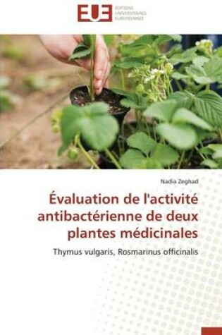 Cover of valuation de l'Activit  Antibact rienne de Deux Plantes M dicinales