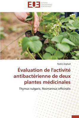 Book cover for valuation de l'Activit  Antibact rienne de Deux Plantes M dicinales