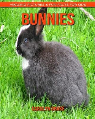 Book cover for Bunnies