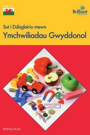 Cover of Sut i Ddisgleirio mewn Ymchwiliadau Gwyddonol