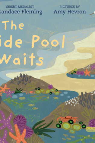 Cover of The Tide Pool Waits