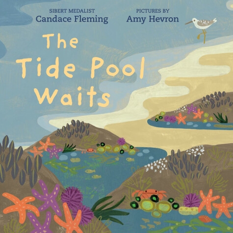 Book cover for The Tide Pool Waits