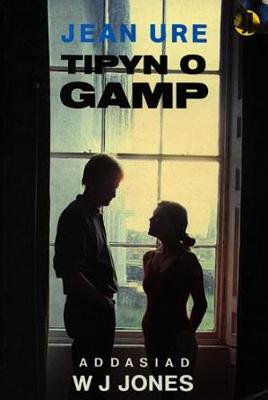 Book cover for Tipyn o Gamp