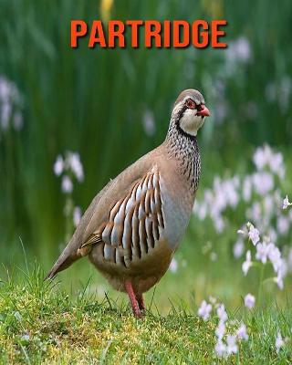 Book cover for Partridge