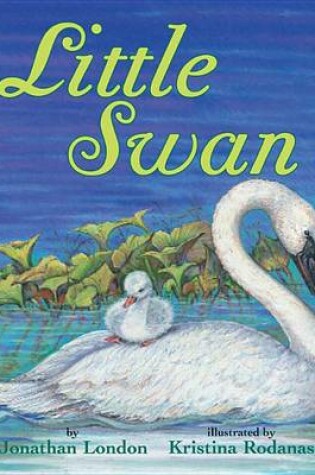 Cover of Little Swan