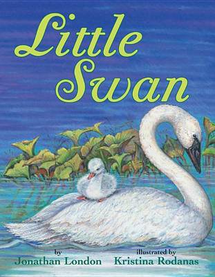 Book cover for Little Swan