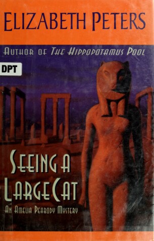 Book cover for Seeing a Large Cat