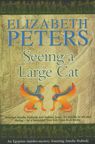 Cover of Seeing a Large Cat