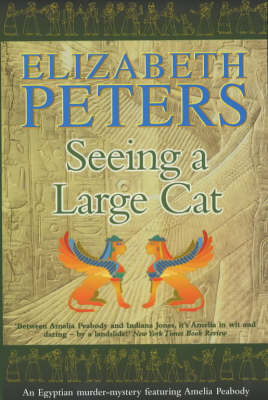 Book cover for Seeing a Large Cat