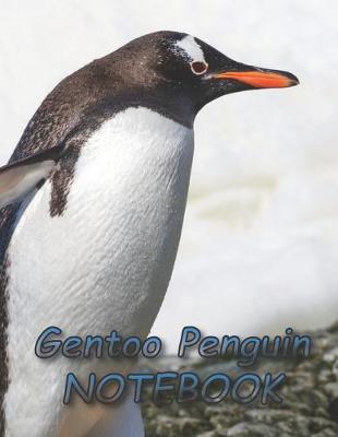 Book cover for Gentoo Penguin NOTEBOOK