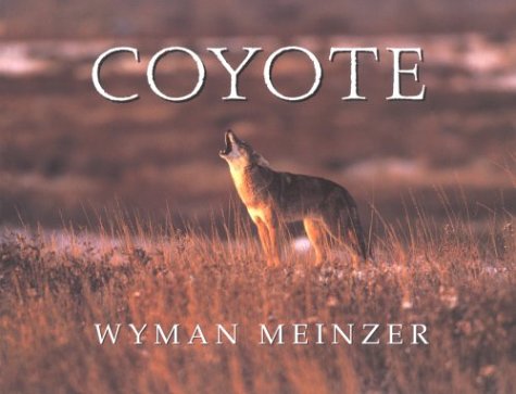 Book cover for Coyote