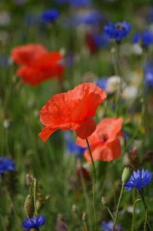 Cover of Red Poppies in a Meadow Flower Journal