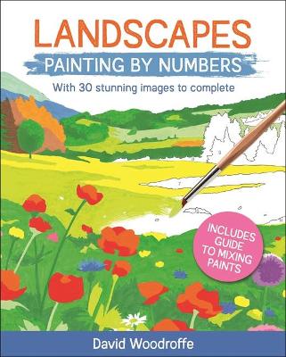 Book cover for Landscapes Painting by Numbers