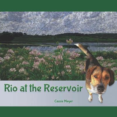 Book cover for Rio at the Reservoir