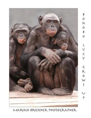 Book cover for Bonobo Lucy Grows Up