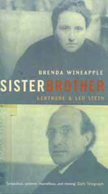 Book cover for Sister Brother