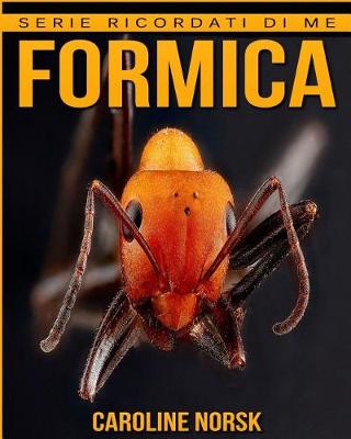 Cover of Formica