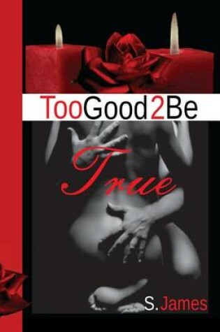 Cover of Too Good 2 Be True